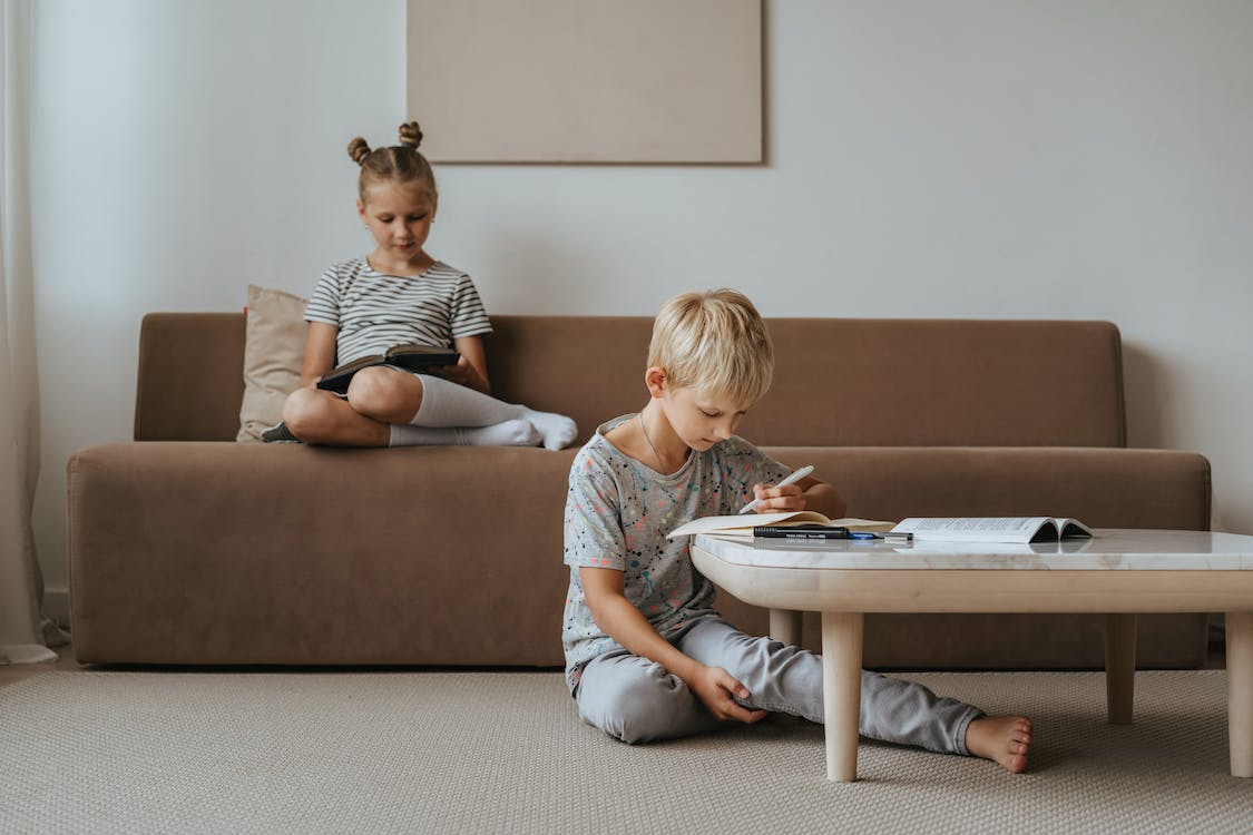 Free Brother and Sister Studying Stock Photo
