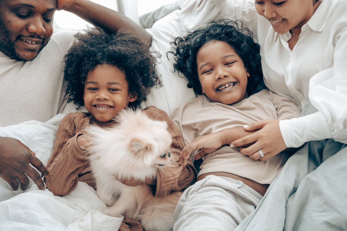 Free Cheerful Family Having Together with their Dog Stock Photo