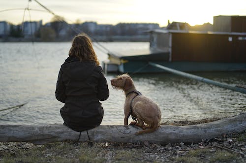 6553e262f930b535cb410308 free photo of woman sitting by the water with her dog jpeg
