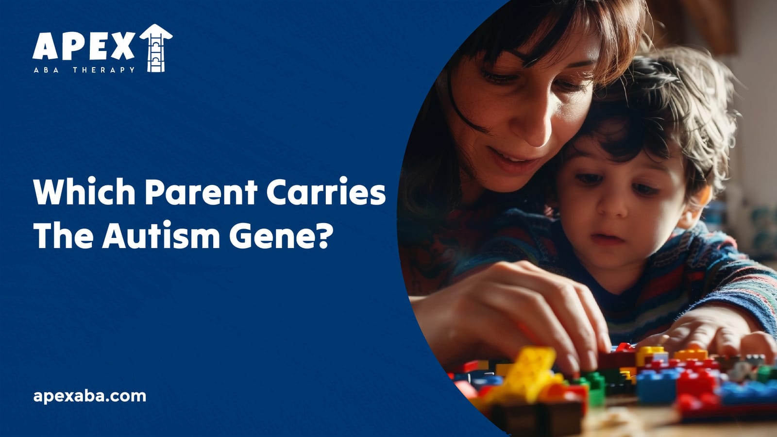 699306e0e9c8fae874fc71e0 666d264876abb0b9bdf1b015 Which%2520Parent%2520Carries%2520The%2520Autism%2520Gene 80 jpeg